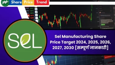 Sel Manufacturing Share Price Target